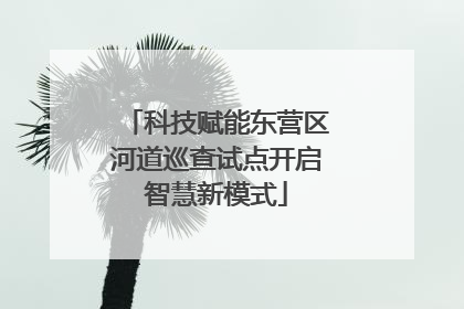 科技赋能东营区河道巡查试点开启智慧新模式