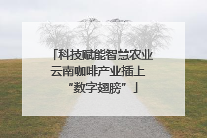 科技赋能智慧农业 云南咖啡产业插上“数字翅膀”