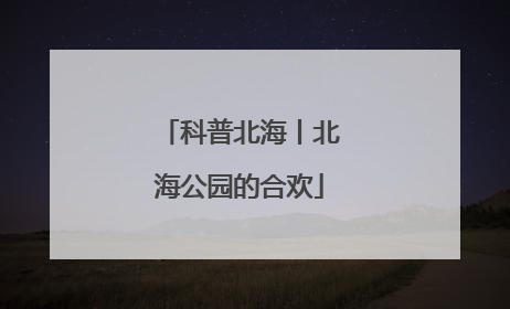 科普北海丨北海公园的合欢