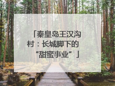 秦皇岛王汉沟村：长城脚下的“甜蜜事业”