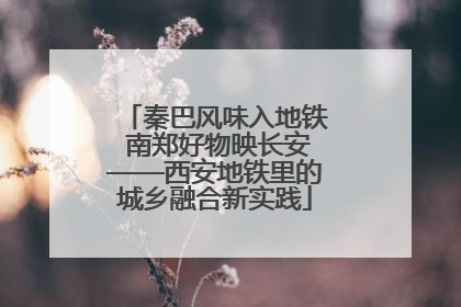 秦巴风味入地铁 南郑好物映长安——西安地铁里的城乡融合新实践