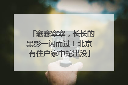 窸窸窣窣，长长的黑影一闪而过！北京有住户家中蛇出没