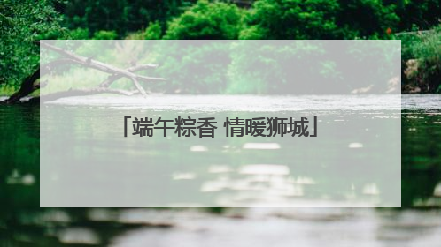 端午粽香 情暖狮城