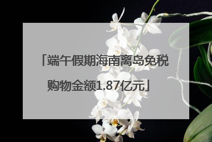 端午假期海南离岛免税购物金额1.87亿元