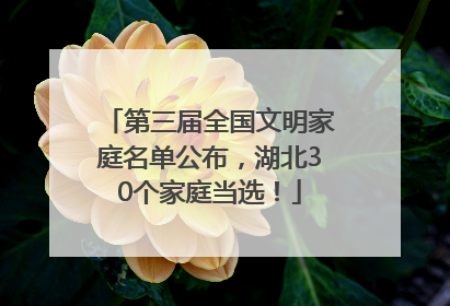 第三届全国文明家庭名单公布，湖北30个家庭当选！
