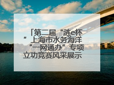 第二届“涟e杯”上海市水务海洋“一网通办”专项立功竞赛风采展示（二）