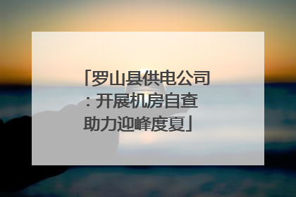 罗山县供电公司：开展机房自查 助力迎峰度夏