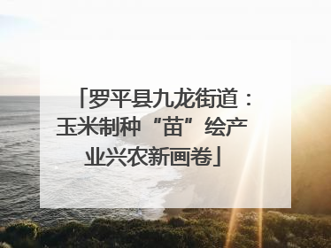 罗平县九龙街道：玉米制种“苗”绘产业兴农新画卷