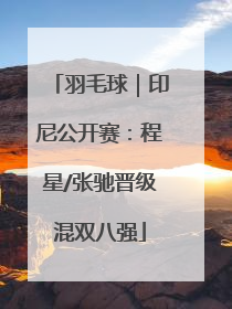 羽毛球｜印尼公开赛：程星/张驰晋级混双八强