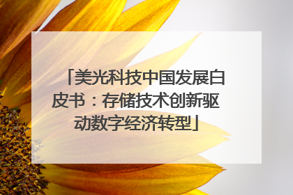 美光科技中国发展白皮书：存储技术创新驱动数字经济转型