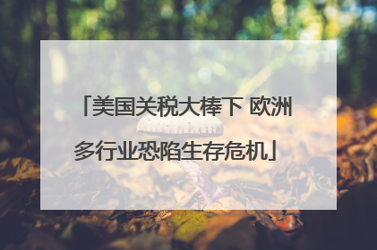 美国关税大棒下 欧洲多行业恐陷生存危机