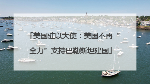 美国驻以大使：美国不再“全力”支持巴勒斯坦建国