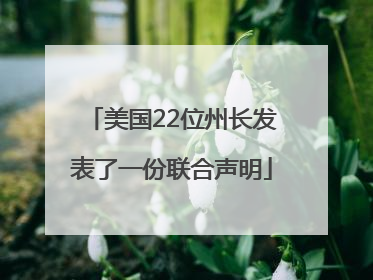 美国22位州长发表了一份联合声明