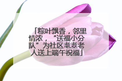 粽叶飘香，邻里情浓，“送福小分队”为社区耄耋老人送上端午祝福