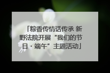 粽香传情话传承 新野法院开展“我们的节日・端午”主题活动