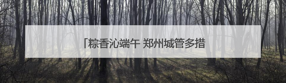 粽香沁端午 郑州城管多措并举保障城市运行平稳有序