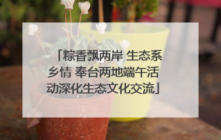 粽香飘两岸 生态系乡情 奉台两地端午活动深化生态文化交流
