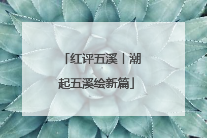红评五溪丨潮起五溪绘新篇