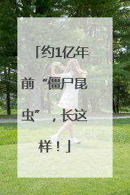 约1亿年前“僵尸昆虫”，长这样！