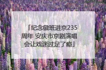 纪念徽班进京235周年 安庆市京剧演唱会让戏迷过足了瘾