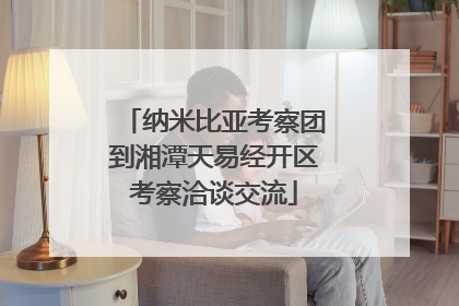 纳米比亚考察团到湘潭天易经开区考察洽谈交流