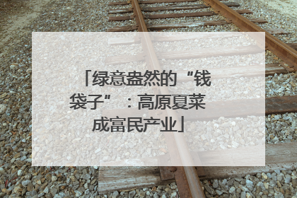 绿意盎然的“钱袋子”：高原夏菜成富民产业