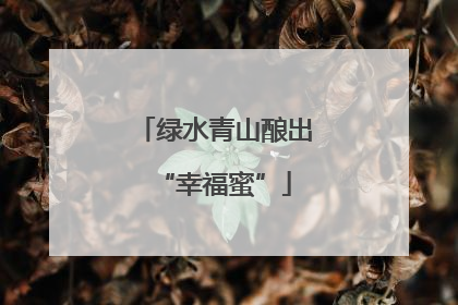 绿水青山酿出“幸福蜜”