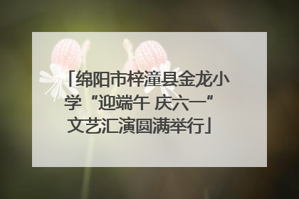 绵阳市梓潼县金龙小学“迎端午 庆六一”文艺汇演圆满举行