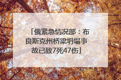 俄紧急情况部：布良斯克州桥梁坍塌事故已致7死47伤