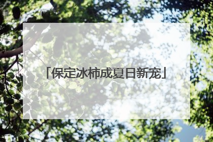 保定冰柿成夏日新宠