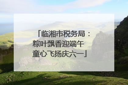 临湘市税务局：粽叶飘香迎端午 童心飞扬庆六一