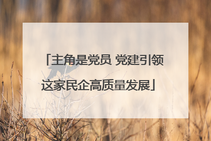 主角是党员 党建引领这家民企高质量发展