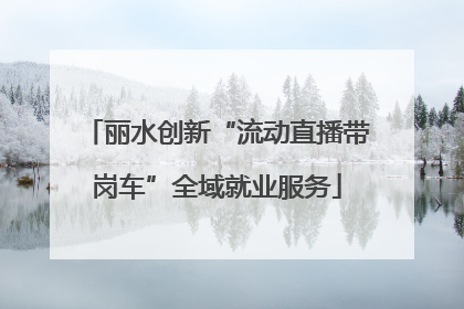 丽水创新“流动直播带岗车”全域就业服务