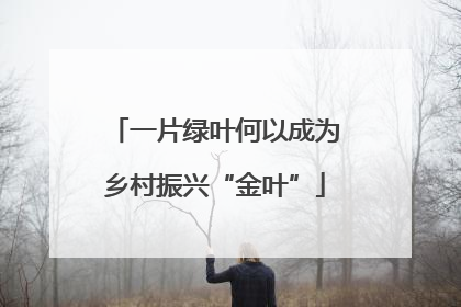 一片绿叶何以成为乡村振兴“金叶”