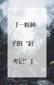 一粒种子的“赶考记”