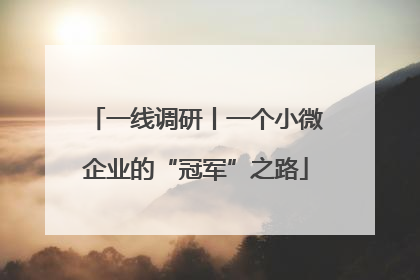 一线调研丨一个小微企业的“冠军”之路