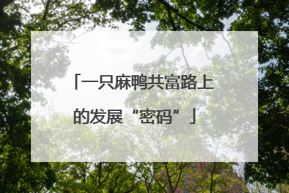 一只麻鸭共富路上的发展“密码”