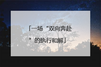 一场“双向奔赴”的执行和解