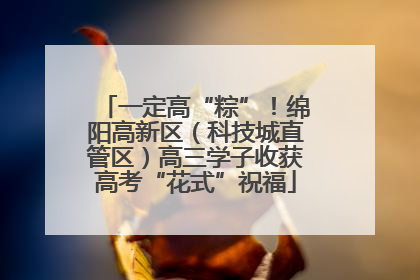 一定高“粽”！绵阳高新区（科技城直管区）高三学子收获高考“花式”祝福