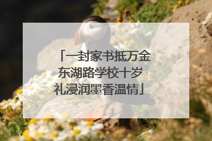 一封家书抵万金 东湖路学校十岁礼浸润墨香温情