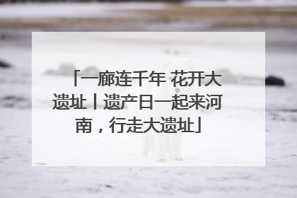 一廊连千年 花开大遗址丨遗产日一起来河南，行走大遗址
