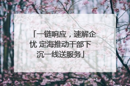 一链响应，速解企忧 定海推动干部下沉一线送服务