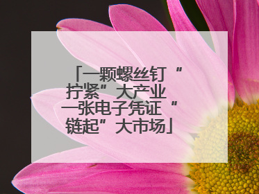 一颗螺丝钉“拧紧”大产业 一张电子凭证“链起”大市场
