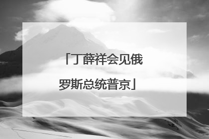 丁薛祥会见俄罗斯总统普京