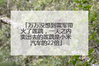 万万没想到雷军带火了莲藕，一天之内卖出去的莲藕是小米汽车的22倍
