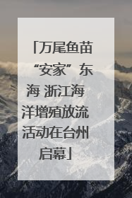 万尾鱼苗“安家”东海 浙江海洋增殖放流活动在台州启幕