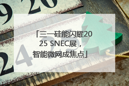三一硅能闪耀2025 SNEC展，智能微网成焦点