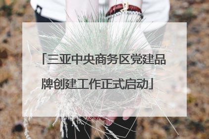 三亚中央商务区党建品牌创建工作正式启动