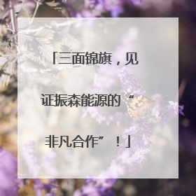 三面锦旗，见证振森能源的“非凡合作”！