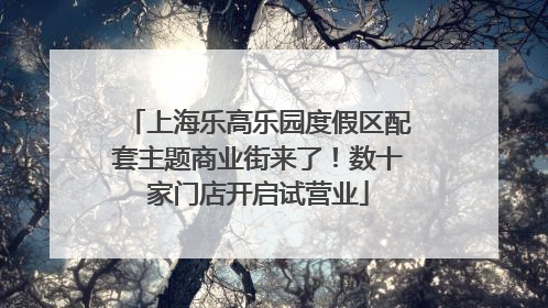 上海乐高乐园度假区配套主题商业街来了！数十家门店开启试营业